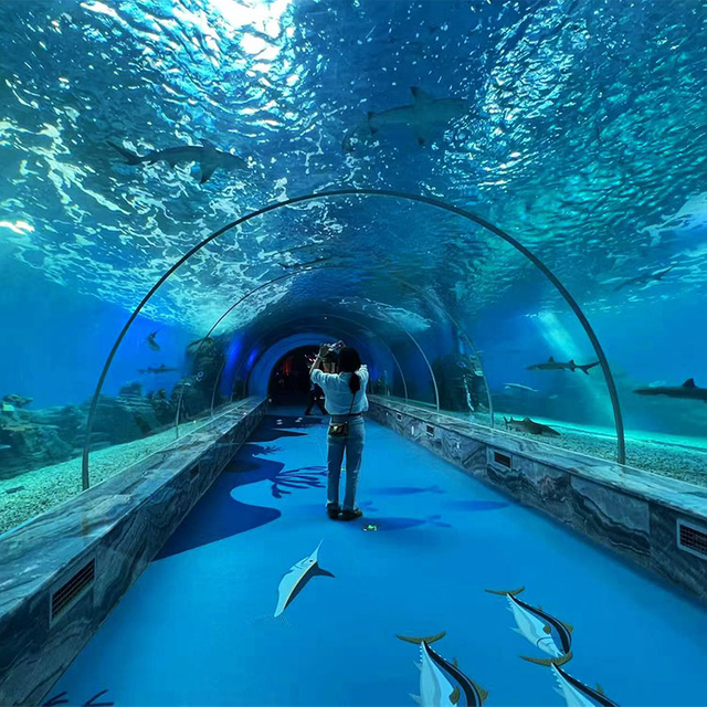 Imaraykutaq Georgia Acuario tunel ancha riqsisqa-leyu acrílico hoja productos fábrica .