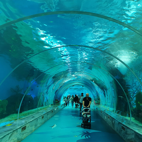 Leyu acrylicank tank koe i runga i te hikoi i roto i te Aquarium tunnel-leyu acryc replolic hua wheketere