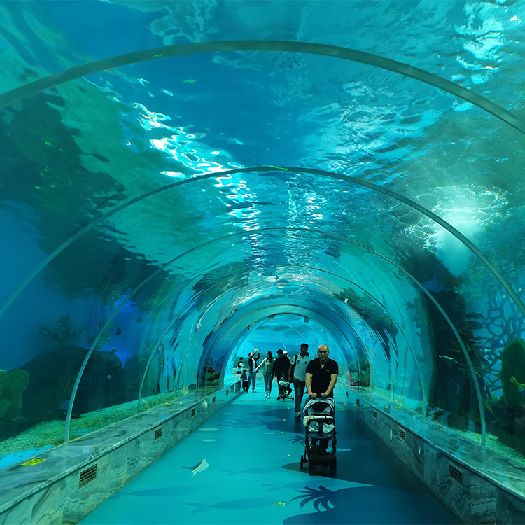 The Fantastic Large Acrylic Aquarium Tank Tunnel-Leyu Acrylic Sheet Products Factory