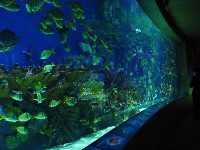 Shenyang-Underwater-World3