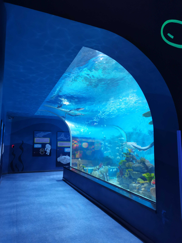 Fabrica acrilică Le Yu te duce să explorezi Sea World Oceanarium - Leyu