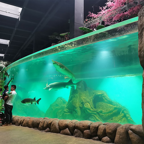 Este oceasarium popular cu turiștii din fabrica de produse acrilice din Chicago-Lheyu