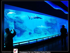 Mba'&eacute;pa oceanarium che yp&yacute;pe Acuario Acr&iacute;lico - Leyu