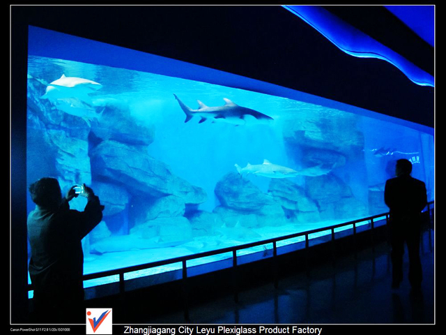 Menene oceanarium kusa da ni Acrylic Aquarium - Leyu