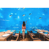 He Kamupene Kamupene Kamupene Hangaia Aquarium me nga Customs i hangaia te Tank -leyu i nga Rauemi Rauemi Rauemi