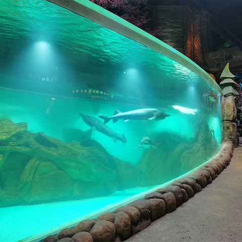 Fereastră acrilică personalizată Aquarium oceanarium-Lheyu Acrilic Fabry Factory 