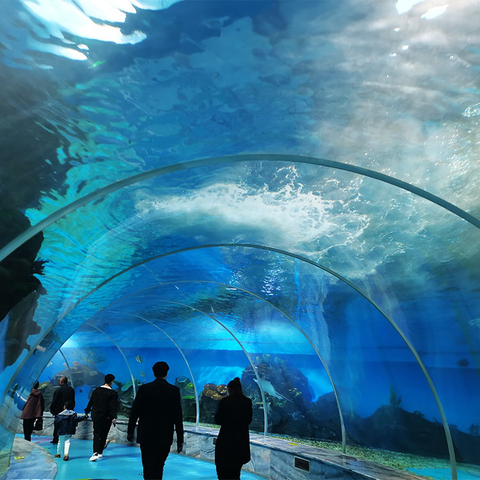 Leyu Acryl neemt u mee op een wandeling door de Aquarium Tunnel-Lleyu Acryl Sheet Products Factory