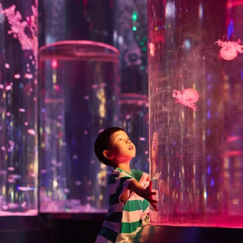 Jellyfish Aquarium Kits Leyu உங்களுக்காக ஜெல்லிமீன் தொட்டிகளைத் தனிப்பயனாக்குவதில் நிபுணத்துவம் பெற்றது - Leyu