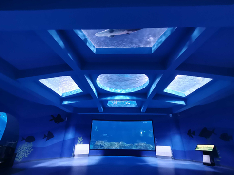 Unde este Ocean Park Inn - Leyu