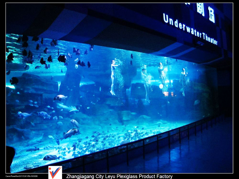 Clear for Life Aquarium Manufacturers Near Me-Leyu Acrylic Sheet Products Factory