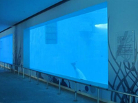 //rrrorwxhqnlmln5m.ldycdn.com/cloud/joBpiKqollSRrknnpqpmjp/Shandong-Penglai-Underwater-World2.jpg