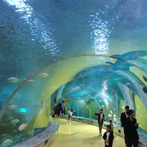 Verken het Ocean World Oceanarium and Education Center-Lleyu Acryl Factory