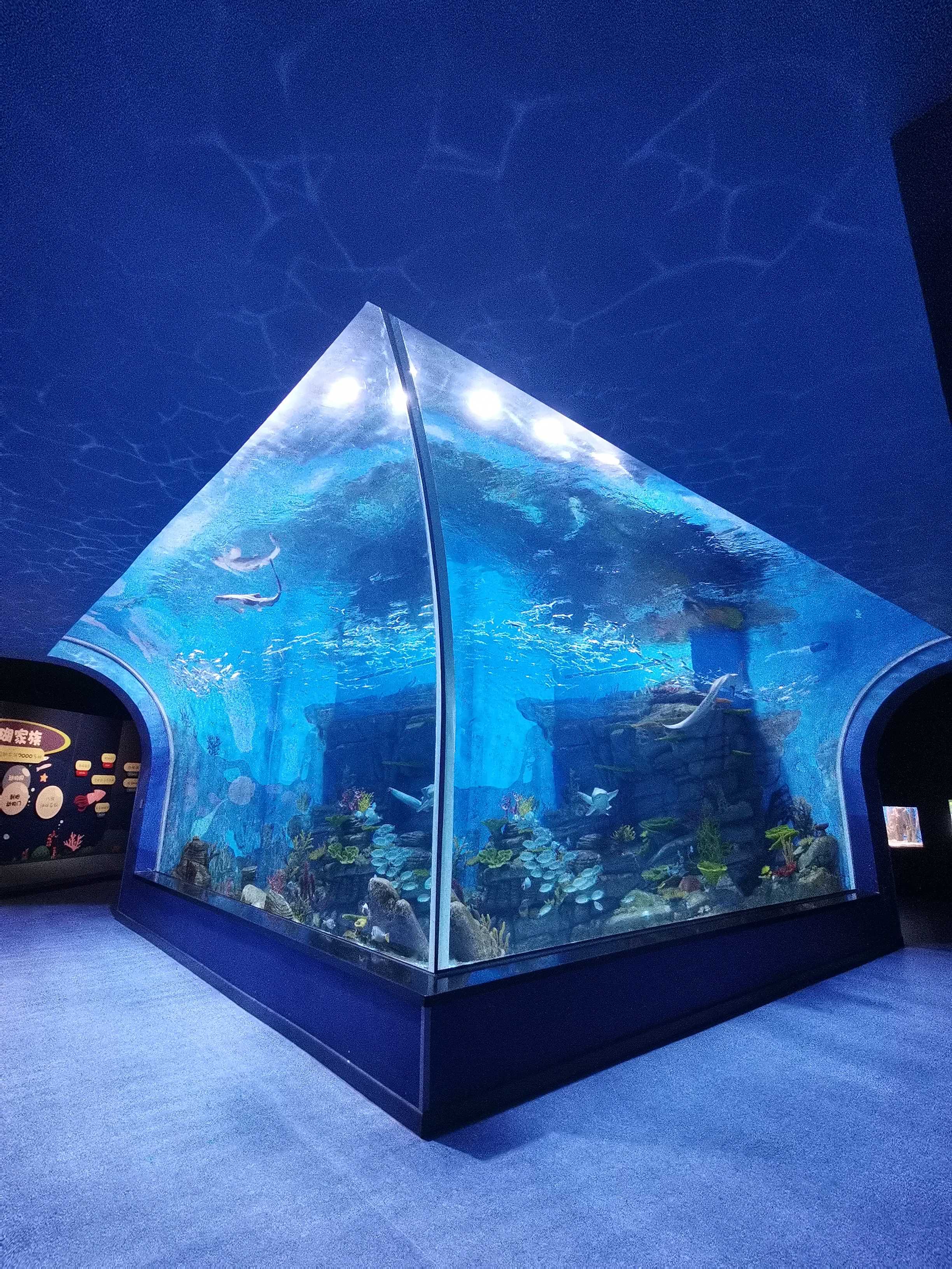  Oceanarium lisbon oceanarium near me bar harbor oceanarium Leyu acrylic aquarium factory professional customization - Leyu