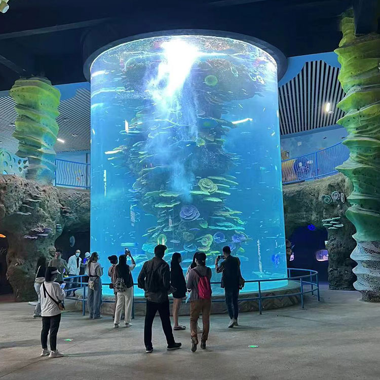 A Company Manufactures Rectangular Aquariums And Customs Shaped Fish Tank -Leyu Acrylic Sheet Products Factory
