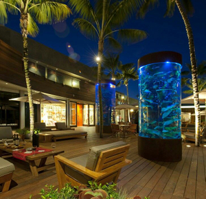 Kaip profesionaliai įrengti jūrinį akrilinį akvariumą - Leyu 