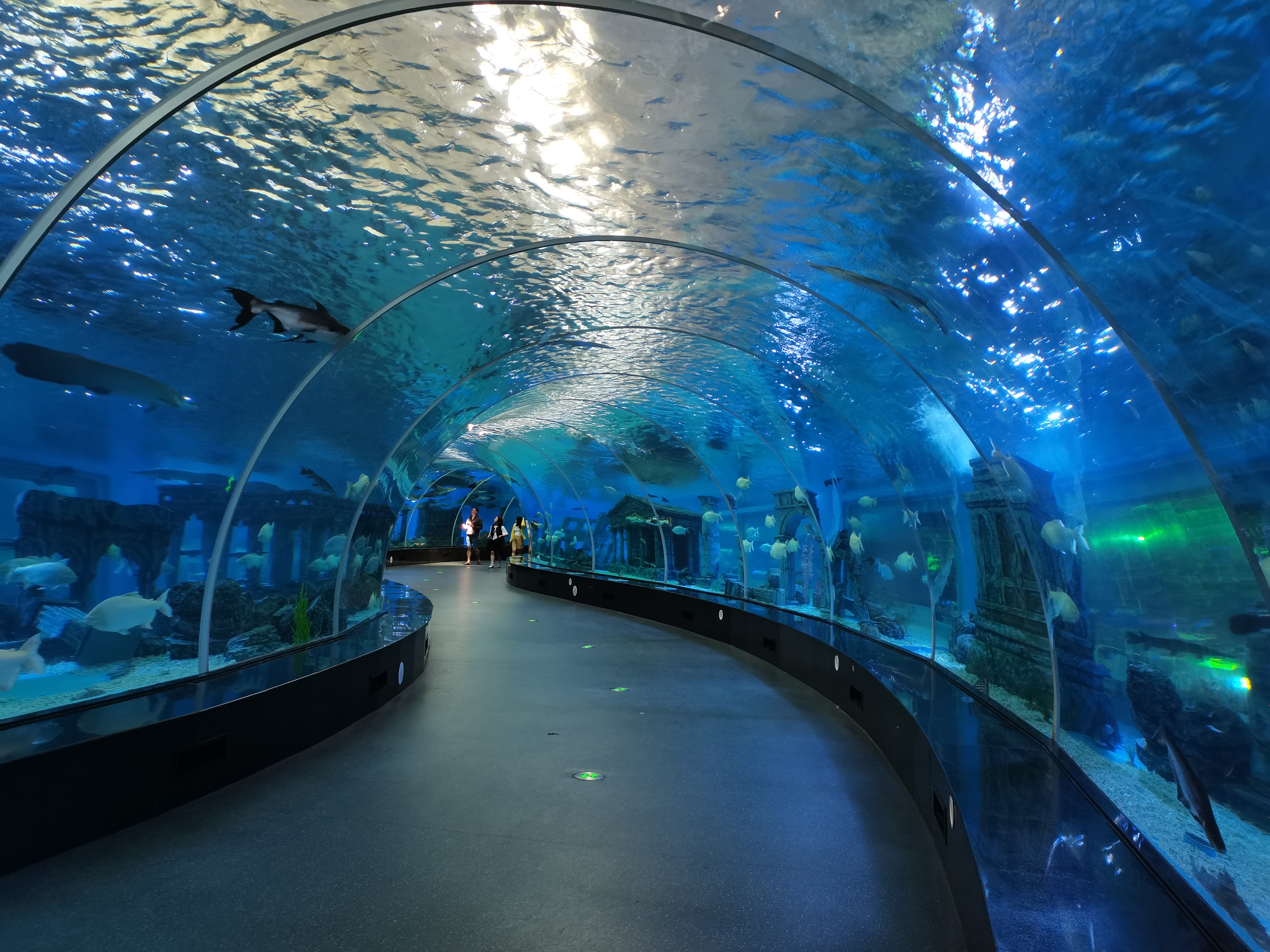 Aqualife Aquarium konstruert av Leyu Acrylic Aquarium Factory - Leyu