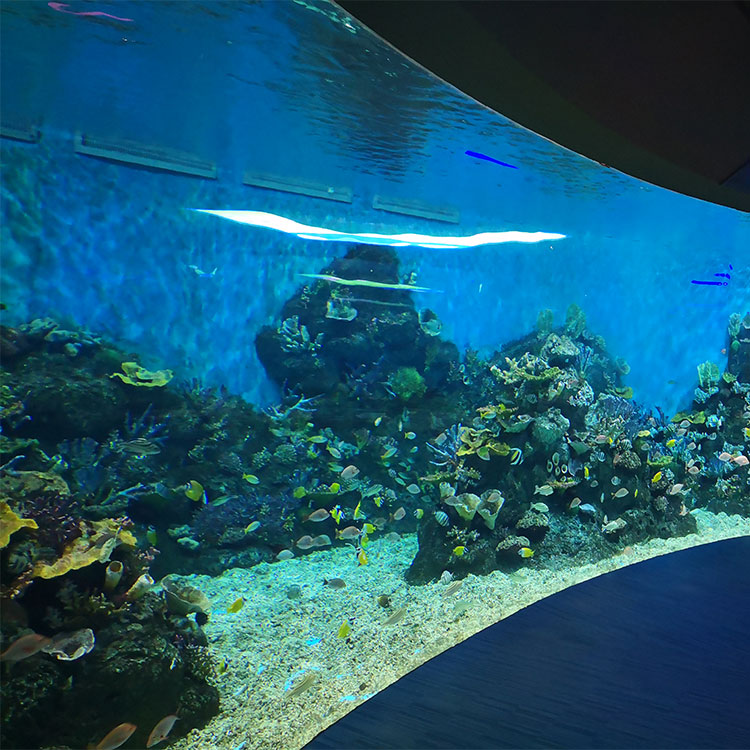 이것이 거대한 아크릴 수족관 창문이 만들어지는 방법입니다 - Leyu 아크릴 시트 제품 공장