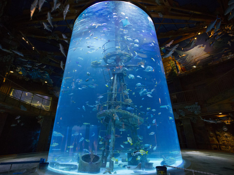 អាងចិញ្ចឹមត្រីខ្នាតធំ ផលិត និងដំឡើងអាងចិញ្ចឹមត្រីរាងស៊ីឡាំង - ឡៃយូ