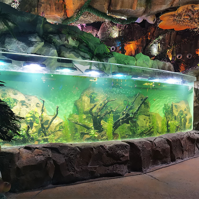 Aquariumtechniek Acryltechniek Acrylontwerp 24 uur Service Fabriek Goedkoop - LEYU