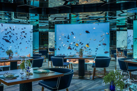 Leyu Acrylic Aquarium Factory가 건설 한 Aqualife Aquarium -Leyu