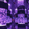 Benutzerdefinierte Acryl-Quallen-Aquarium-Tank, Quallen-Tank, welche Stile - Leyu