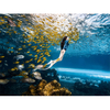 Veliki Ultra Clear Curved Oceanarium Aquarium Tank Akrilni stakleni tunel Tvornica akrilnih akvarija Leyu - Leyu 