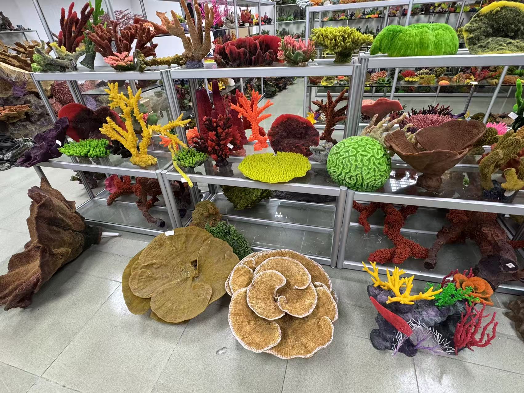  iň gowy akwarium pe&yacute;za .y - Le&yacute;u 