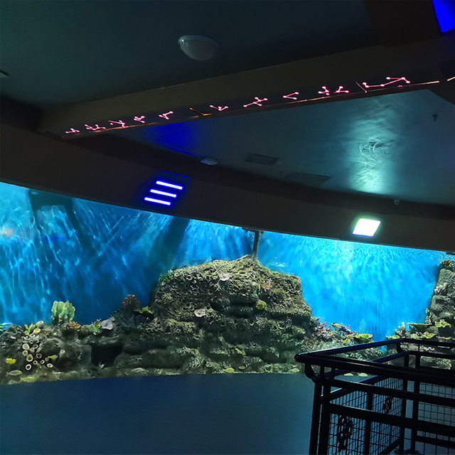 Leyu acrylic អាចផ្តល់នូវបង្អួច acrylic សម្រាប់លក់- leyu