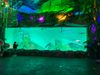 Wani nau'in Acrylic ne ake amfani dashi don Aquariums? - Leyu
