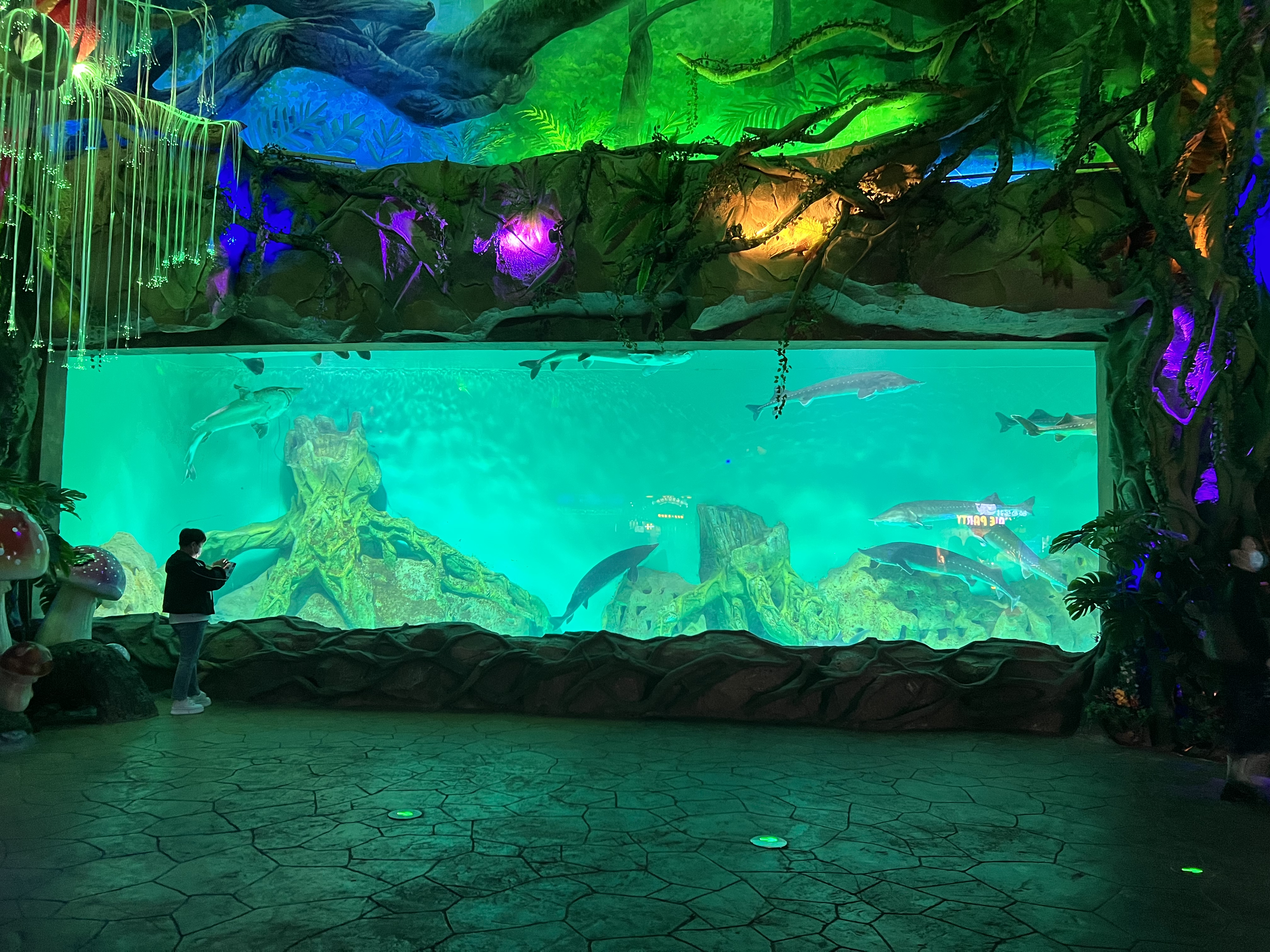 Wani nau'in Acrylic ne ake amfani dashi don Aquariums? - Leyu