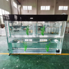 Tinutulungan ka ng Leyu acrylic na DIY Acrylic Aquariums Paano Madaling Gumawa ng Acrylic Fish Tanks-Leyu Acrylic 
