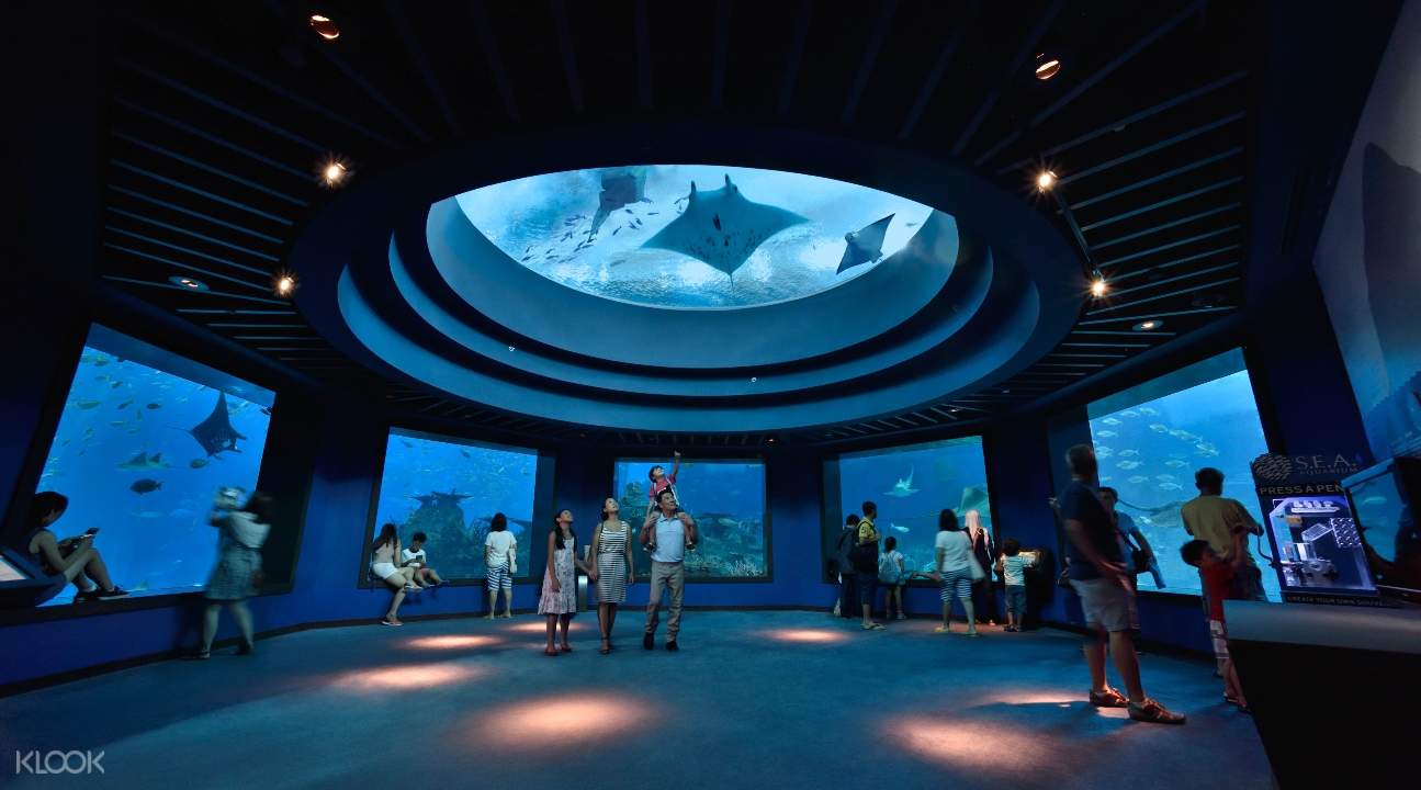 އެކްރިލިކް އާއި ބިއްލޫރި އެކްވަރިއަމްތަކުގެ 5 މުހިއްމު ކޯރ ތަފާތުތައް - leyu