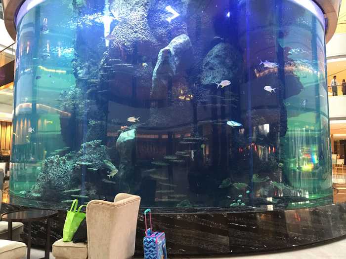 What Is The Best Cleaner for Acrylic Fish Aquarium Tanks Ocean Park Cusotm Fish Tank- Leyu 