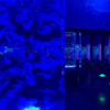 Benutzerdefinierte Acryl-Quallen-Aquarium-Tank, Quallen-Tank, welche Stile - Leyu