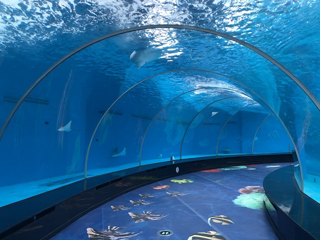 How many Marine parks in the world are public aquariums Acrylic Aquarium - Leyu