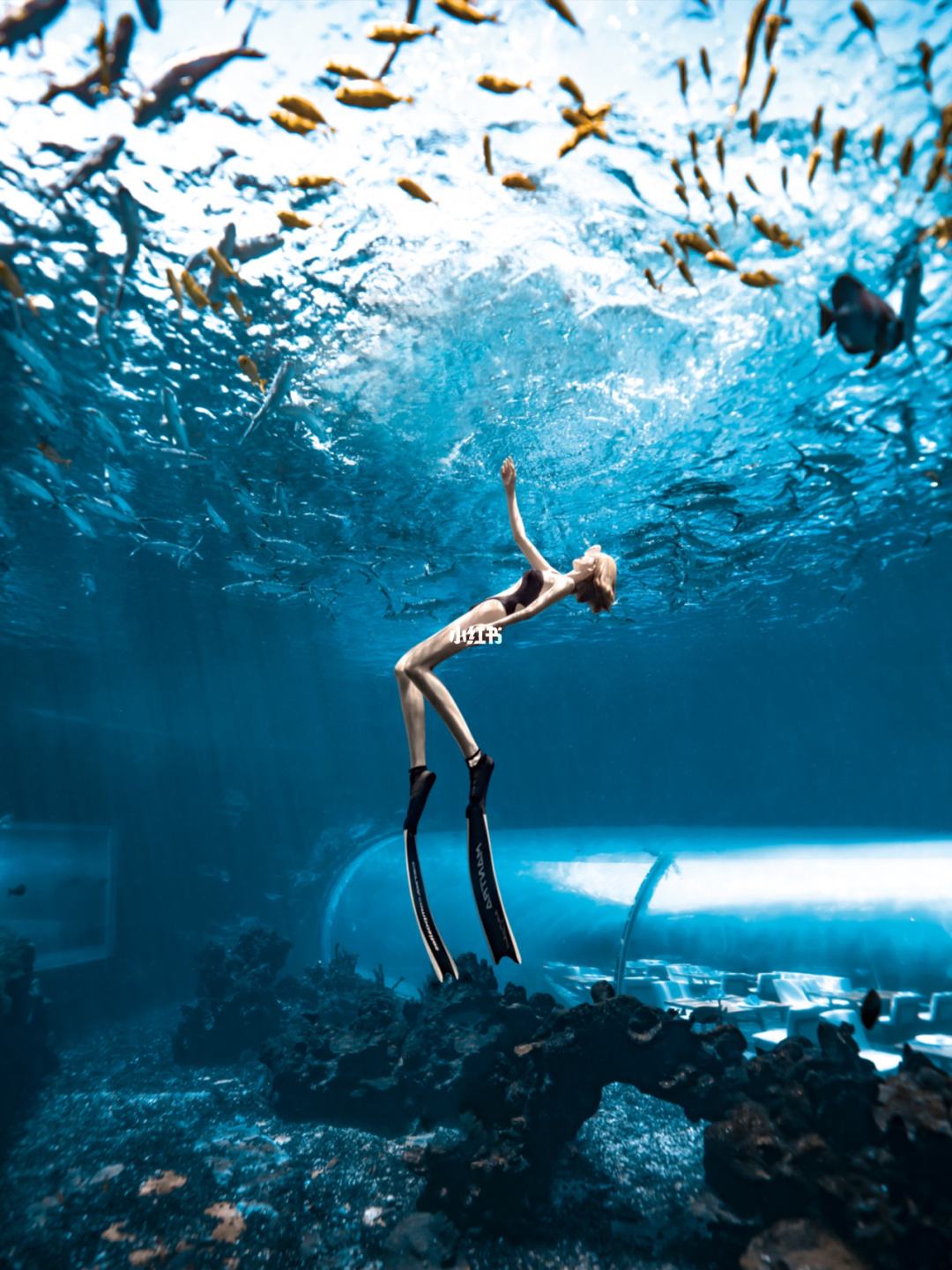 I-acrylic Aquarium Architectures ehlukahlukene - LEYU