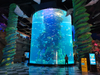 Aqualife Aquarium konstruert av Leyu Acrylic Aquarium Factory - Leyu