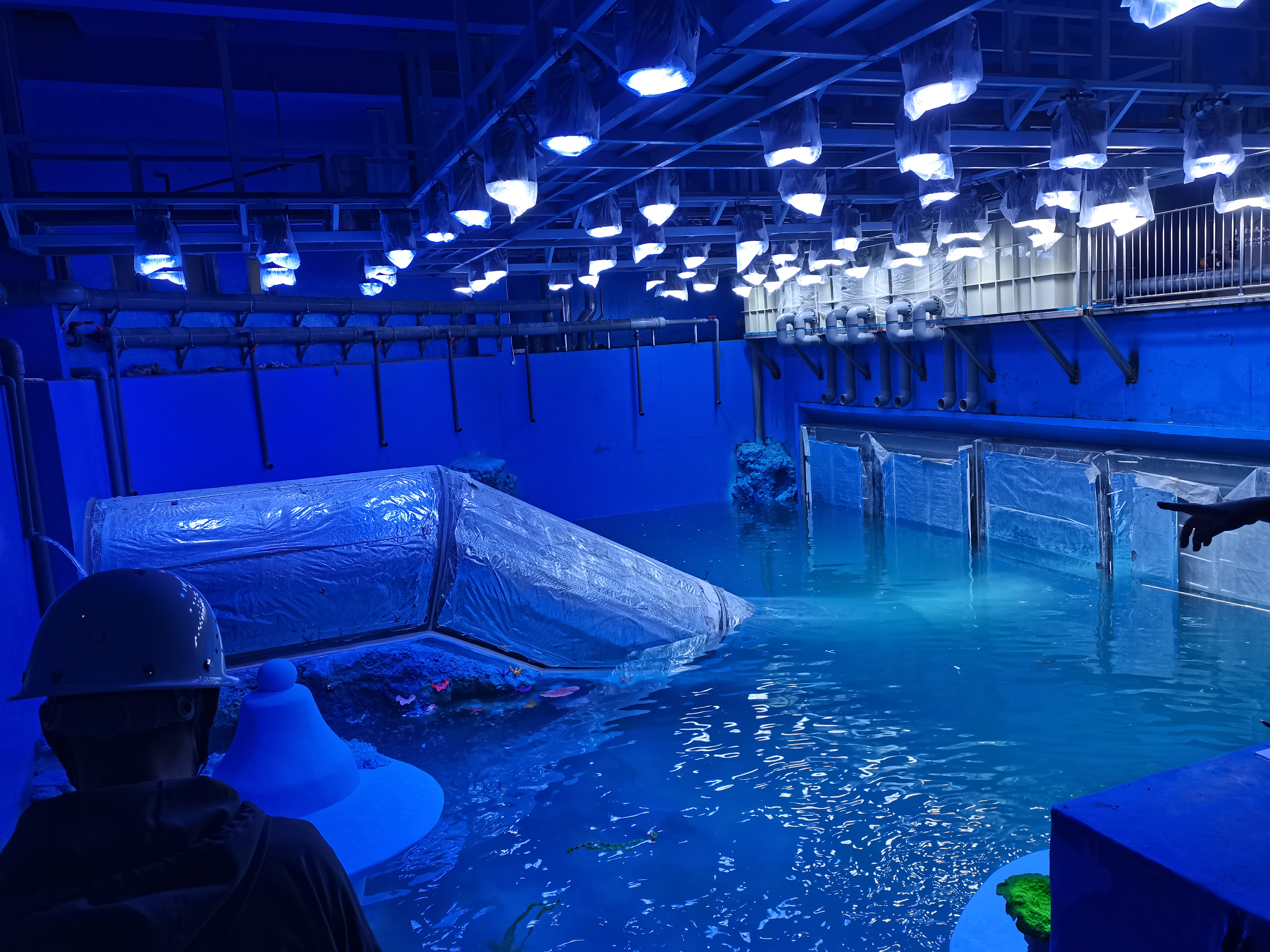 Kiel konstrui subakvan tunelon Bonvolu atenti al Leyu Plexiglass-produkta fabriko- Leyu 