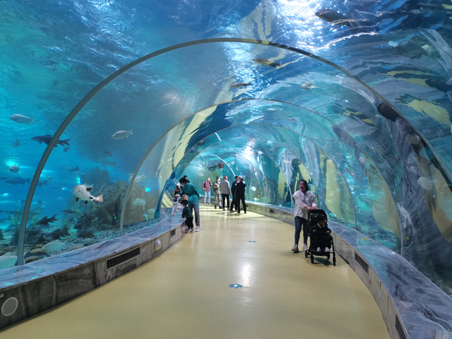 China Factory Acrílico Tunnel Proveedor Willarisunki ima Ocasionespitaq Acrílico Sea View Túnels llamk'achisqa kanqa- Leyu Acrílicos Chapa Productos Factory