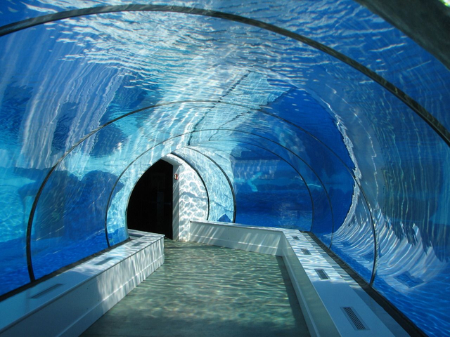Reparación de rasguño superficial en tunel de pescado para acuario - Leyu Acrílico Hoja Productos Factoría