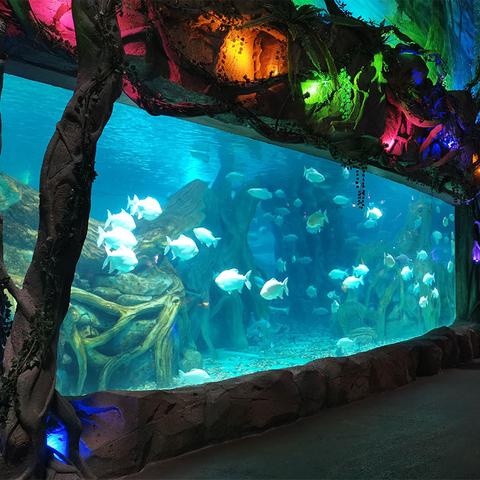 Professionele fabriek Aangepaste acryl -aquariumpanelen van elke grootte - Leyu Acryl Sheet Products Factory