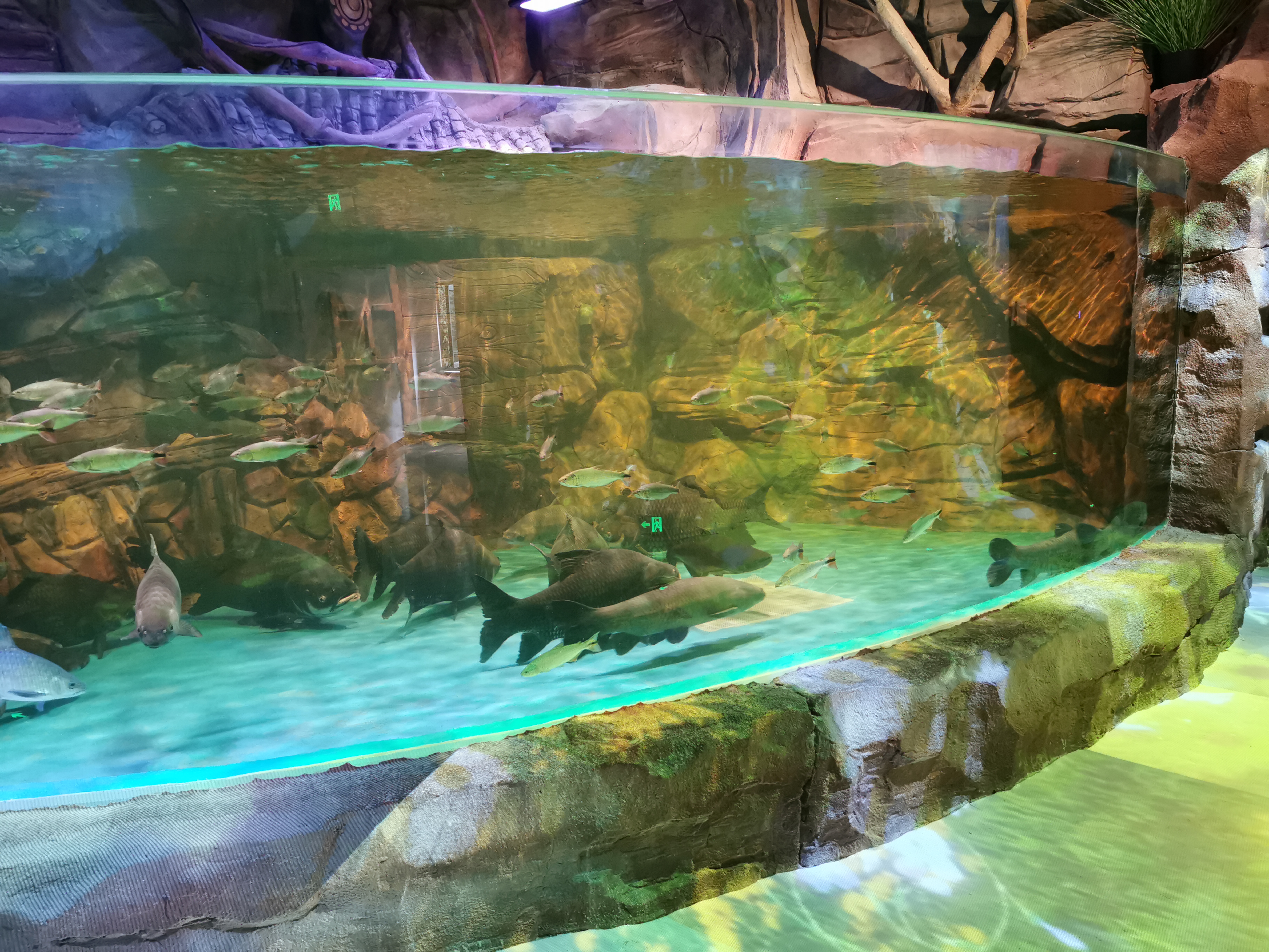 Aqualife Aquarium konstruert av Leyu Acrylic Aquarium Factory - Leyu
