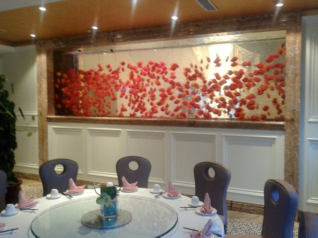 Купете производи со акрилна аквариума со продажни цени онлајн - Leyu