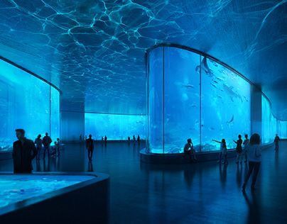 Cara Menyesuaikan Akuarium Akrilik - LEYU