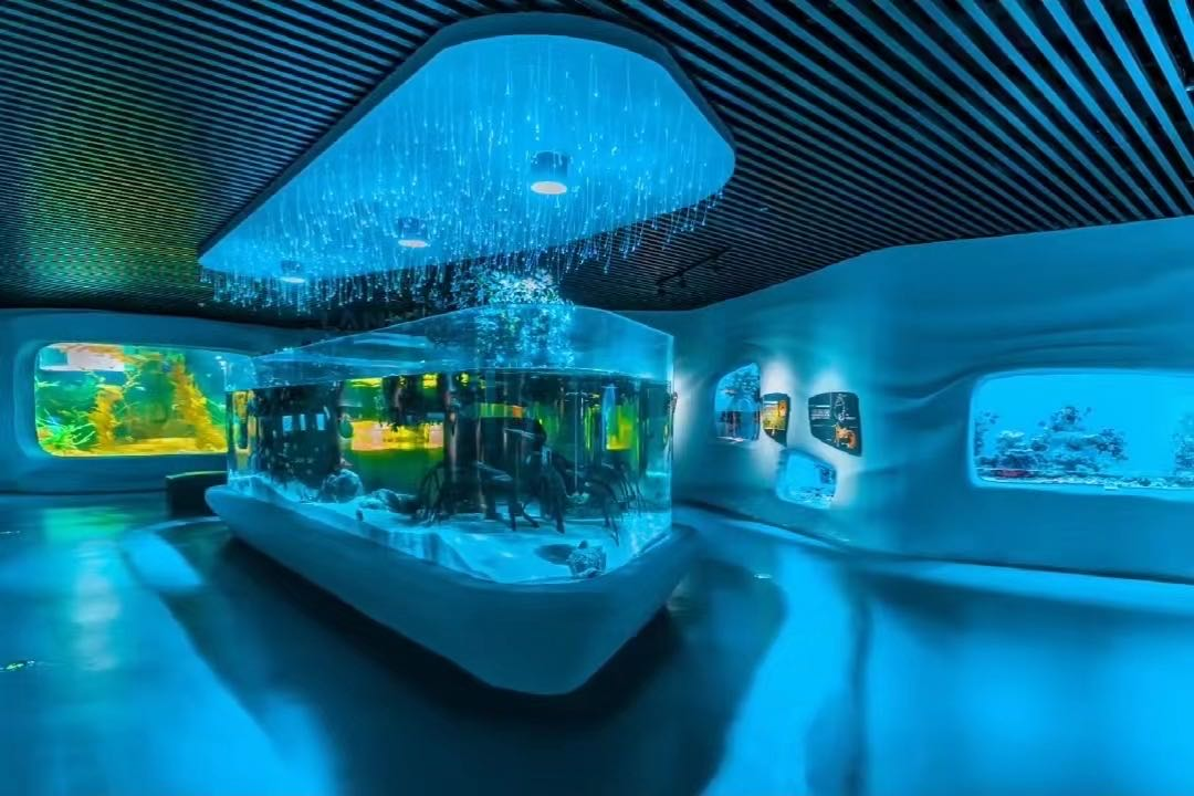 Gano Fa'idodin Acrylic Aquariums: Me yasa Acrylic shine Mafi kyawun Kayan Aikin Aquarium na Zamani