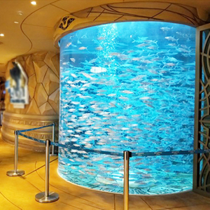 Aquariums de poissons commerciaux en acrylique : votre guide complet - Leyu 