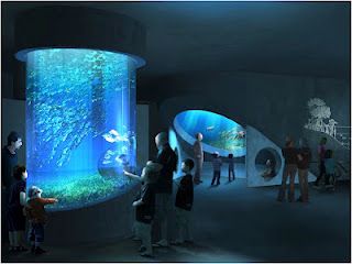 சம்ப் வடிகட்டுதல்-லியு அக்ரிலிக் கொண்ட சிலிண்டர் அக்ரிலிக் மீன் தொட்டி