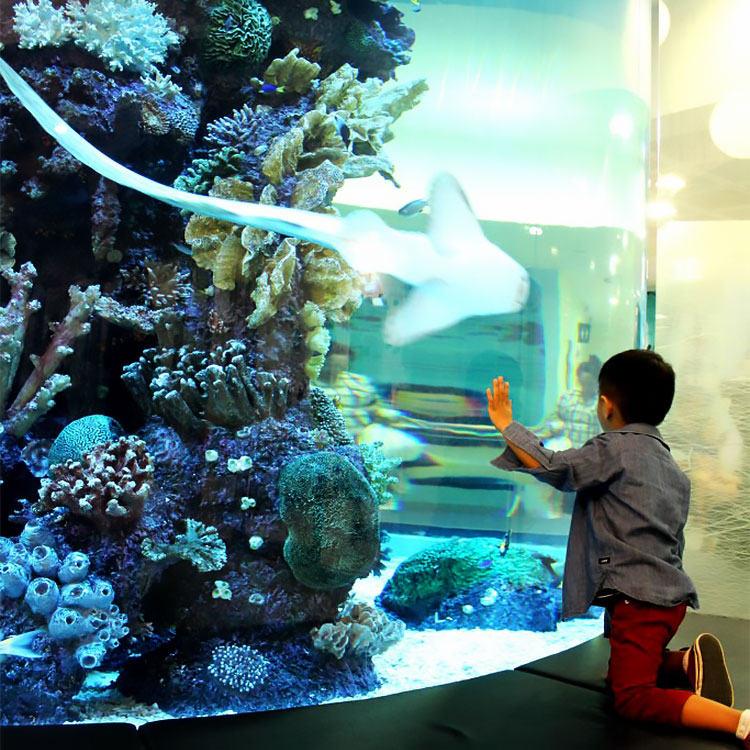 How is acrylic cylinder aquarium made - Leyu
