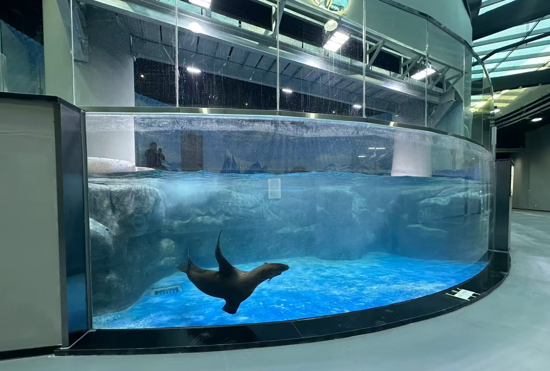 Aqualife Aquarium konstruert av Leyu Acrylic Aquarium Factory - Leyu