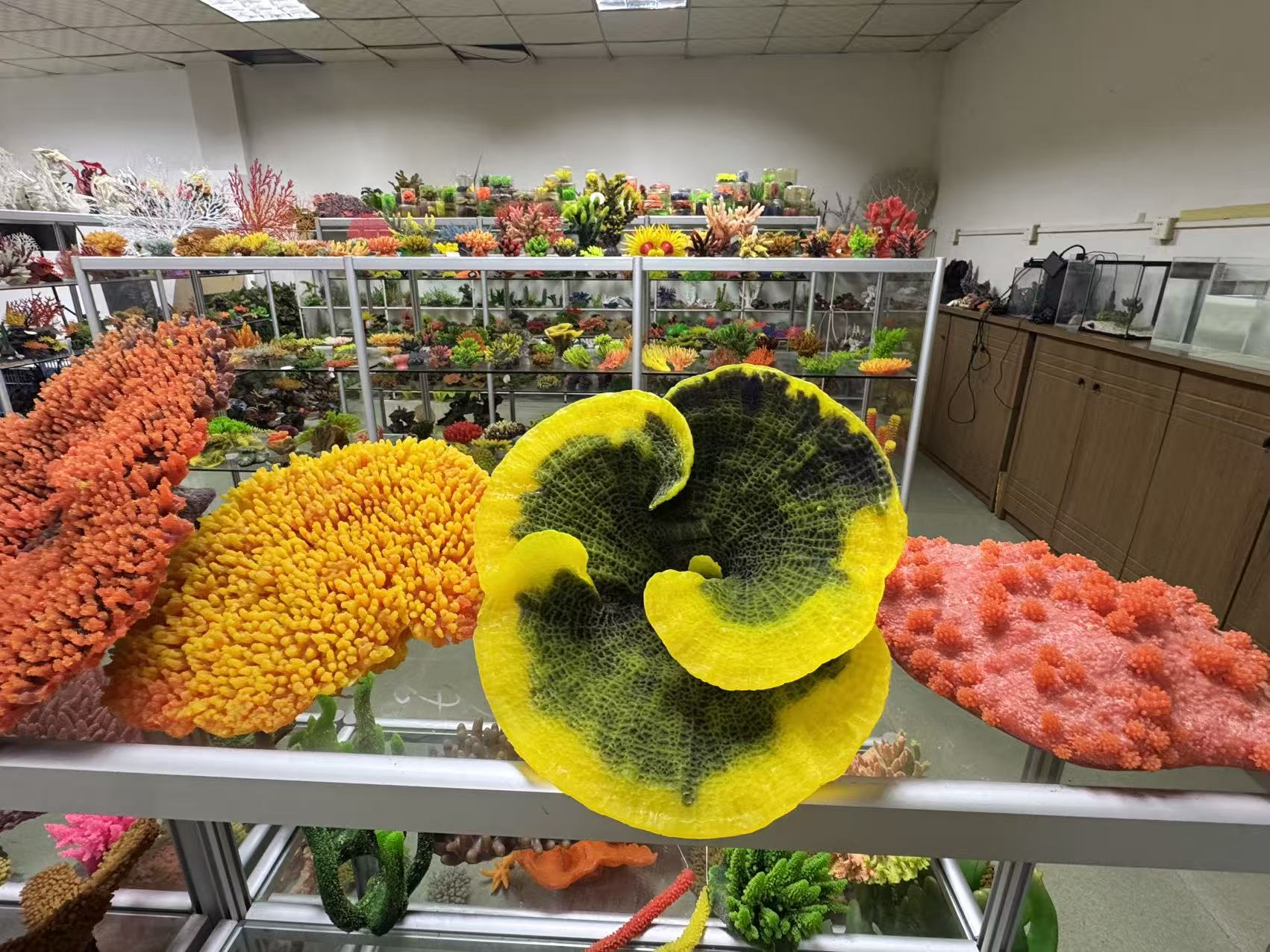 balyk akwarium pe&yacute;za .y - Le&yacute;u